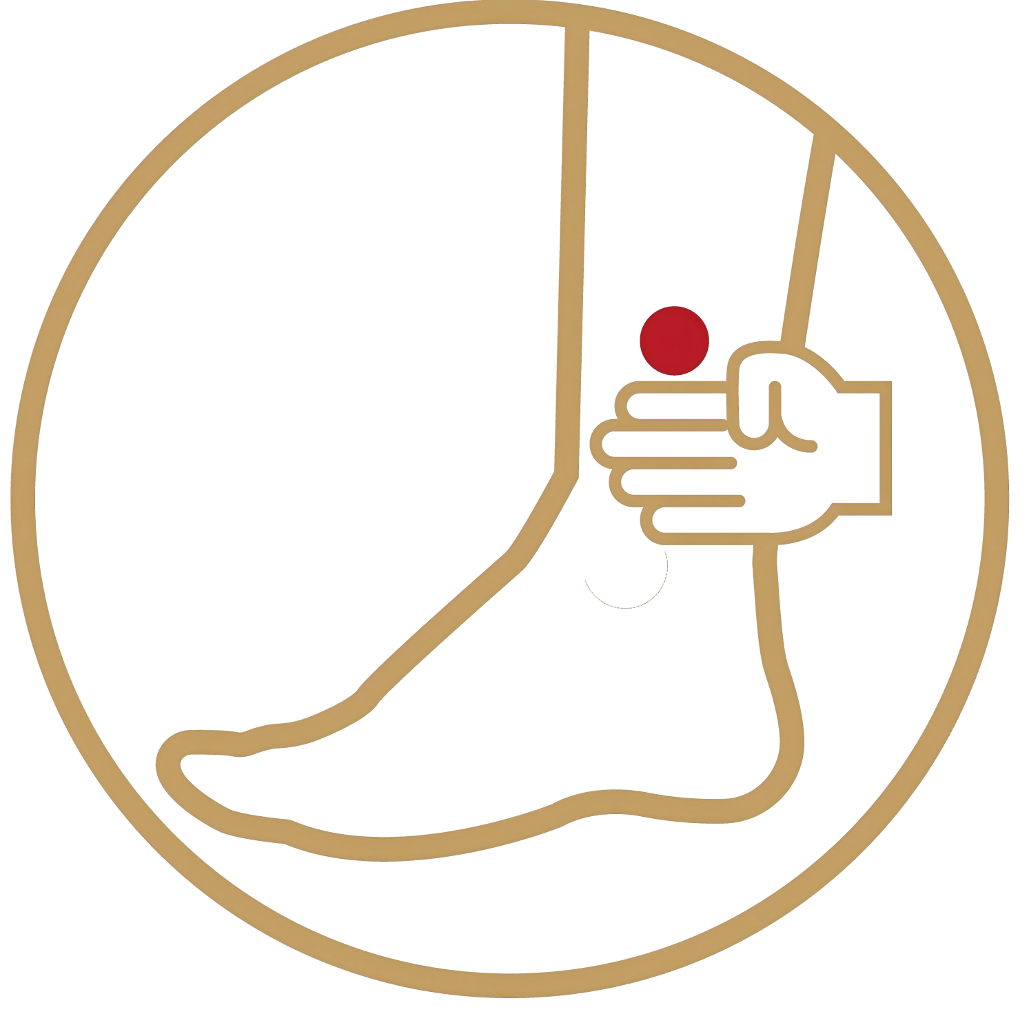 三阴交穴示意图